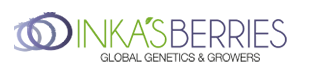 inkas-berries-logo